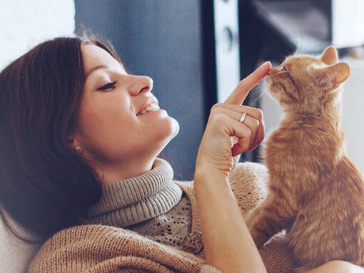 Dame gibt ihrer Katze einen Boop auf die Nase