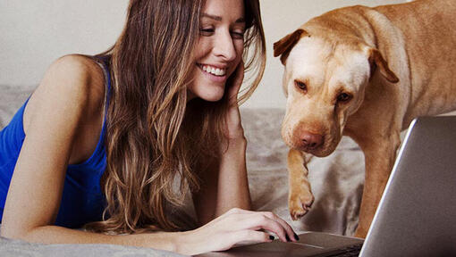 Hund und Frau am Laptop