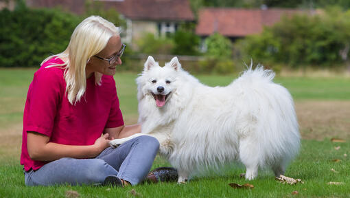Frau mit Hund am Park