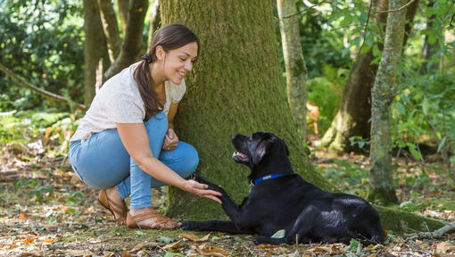 Frau mit Hund im Wald