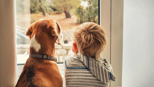 Kind, das aus einem Fenster mit Hund schaut