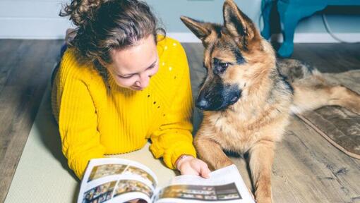 Deutscher Schäferhund Welpe mit dem Besitzer