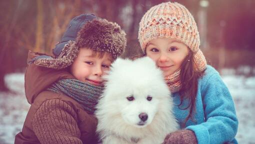 Japan Spitz mit zwei Kindern