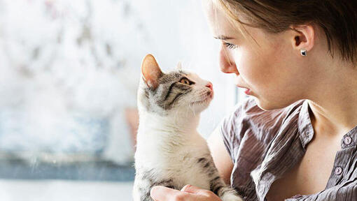 Cat looking at the owner