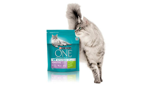 Purina ONE Sensitive mit Reis und Truthahn für Katzen mit Glutenallergie