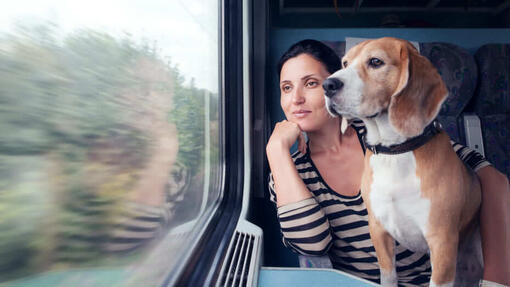 Hund und Frau im Zug