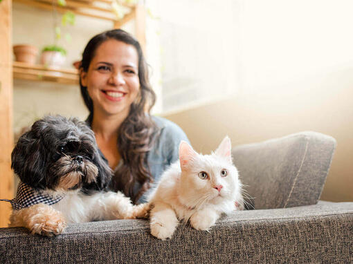 Frau mit Hund und Katze
