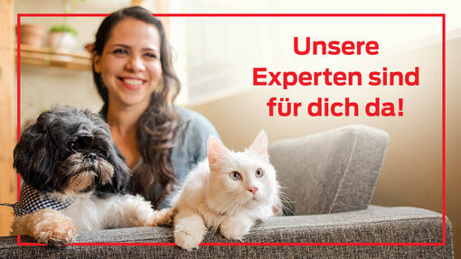 Expertenrat Teaser Frau mit Hund und Katze