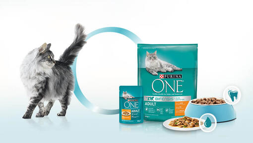 Purina One eine Innovation