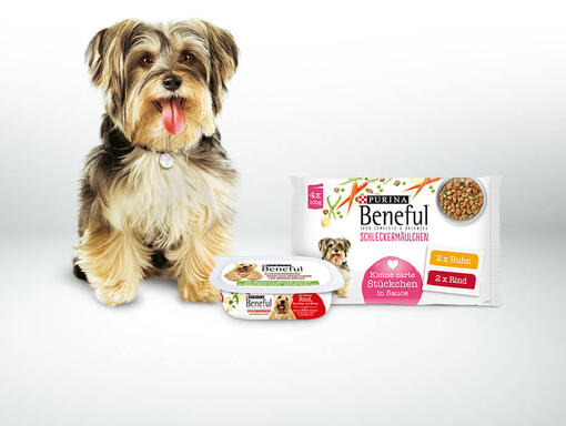 Beneful Hund mit Produkten