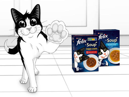 Felix mit Soup Produkten