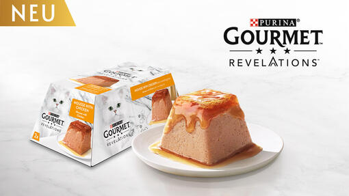 GOURMET Revelations Mobile Image