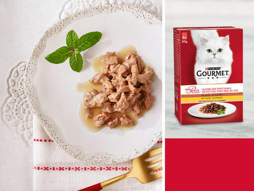 GOURMET MON PETIT Mobile Image