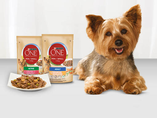 PURINA ONE MINI Nassfutter Mobile