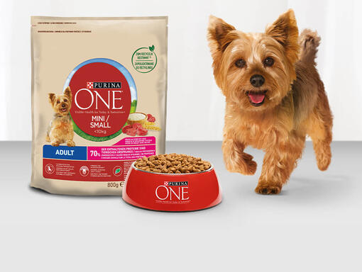 PURINA ONE MINI Trockenfutter Mobile