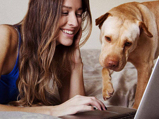 Eine Frau schaut mit ihrem Hund auf einen Laptop