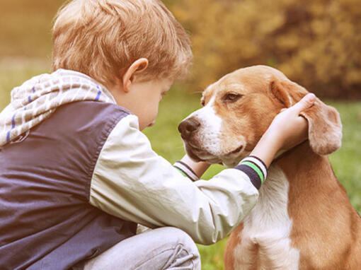 Kind mit Hund