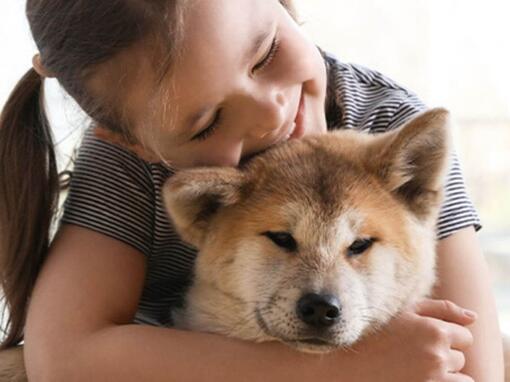 Kind schmust mit Hund