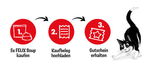 FELIX Soup Gutschein-Aktion