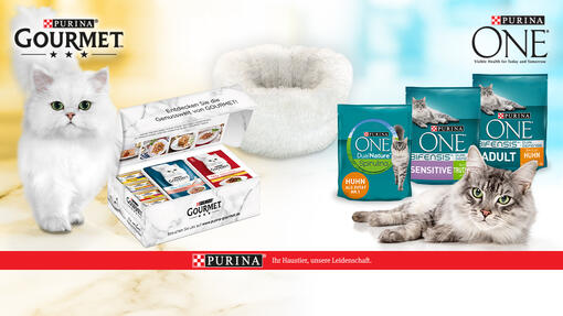 Gewinne mit etwas Glück 1 von 222 PURINA ONE oder GOURMET Geschenkpaketen!