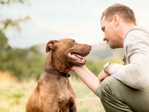 Mann und Hund Freundschaft