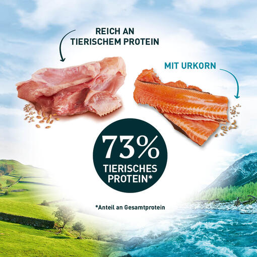 Purina ONE Wild Sense mit 73% Prozent tierischem Protein