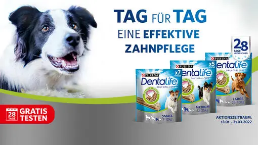 PURINA DENTALIFE Gratis Testen (Produkte bis zu 9€ Gesamtwert) 2