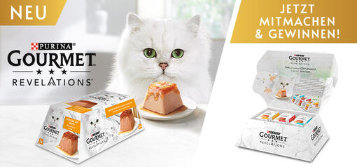 GOURMET Revelation Gewinnspiel