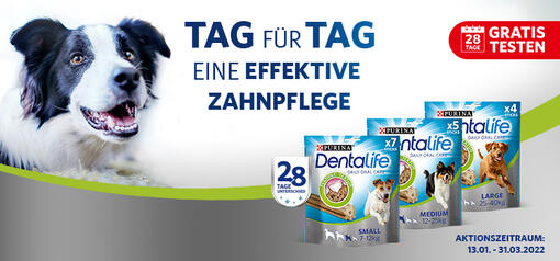 Kampagne Gratis Testen Cashback