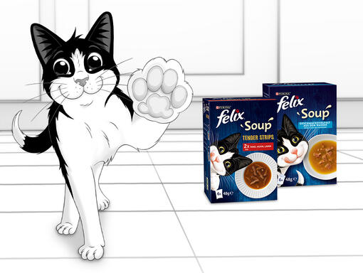 Felix mit Soup Produkten
