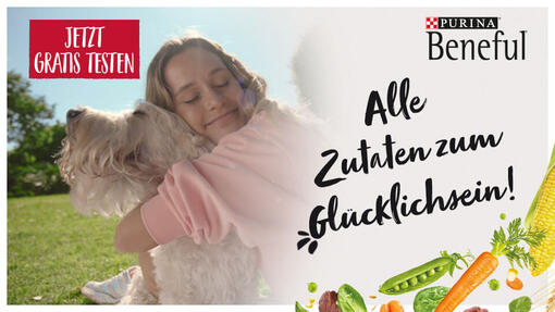 Purina BENEFUL Trockenfutter 1,2kg, 1,4 kg oder 1,5kg - GRATIS TESTEN dank GELD-ZURÜCK-AKTION PURINA BENEFUL Gratis Testen-Aktion: Frau umarmt ihren Hund