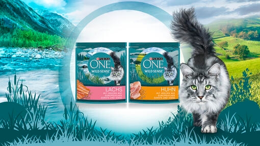 Purina ONE Wild Sense