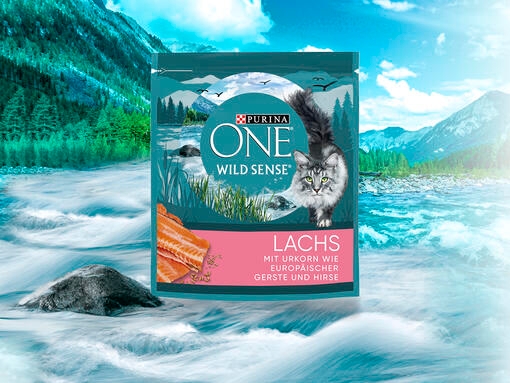 Wild Sense Lachs