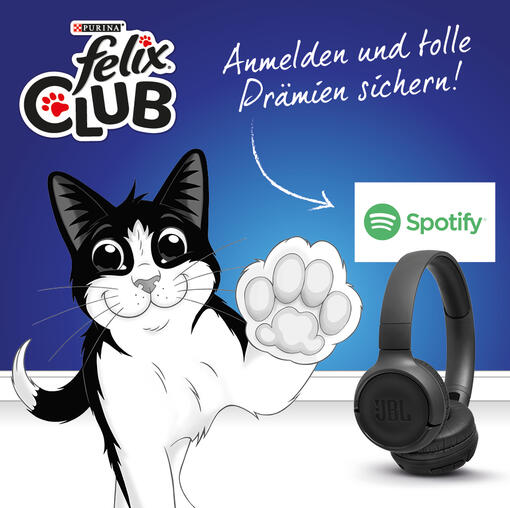 Exklusive Vorteile im Felix Club entdecken!