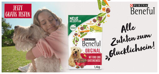 Entdecke PURINA BENEFUL Hundefutter