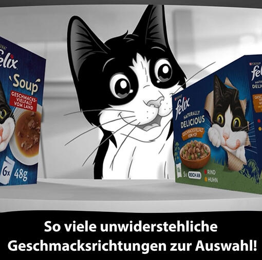 Katze mit Felix-Futter am Küchenschrank