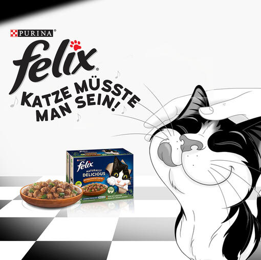 Schwarz-weißes Banner für Felix Katze müsste man sein