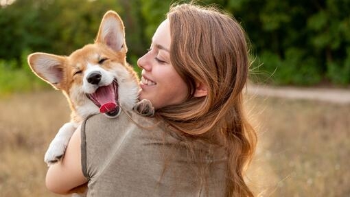 Junge Frau hält lachenden Corgi-Welpen