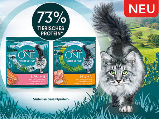 Purina ONE® Wild Sense