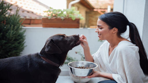 Junge Frau und ihr Hund