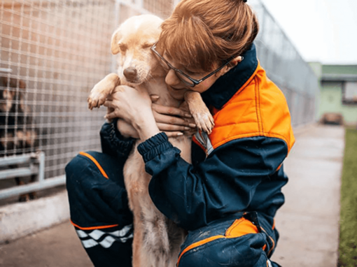 Frau umarmt Hund im Zwinger