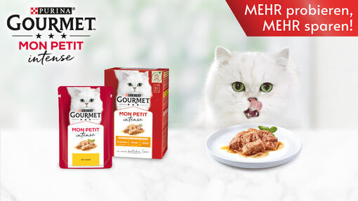 GOURMET REVELATIONS Probierpakete als Aktion