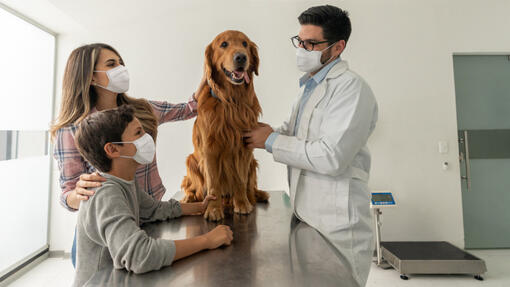 Familie beim Tierarzt mit ihrem Hund