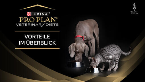 PURINA PRO PLAN VETERINARY DIETS 11 Leipziger Tierkongress Vorteile