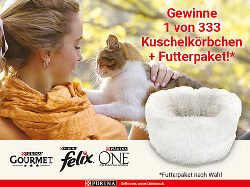 Gewinne mit etwas Glück 1 von 333 PURINA ONE, GOURMET oder FELIX Geschenkpaketen