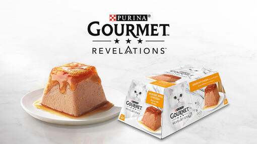 GOURMET Revelations Mobile Image