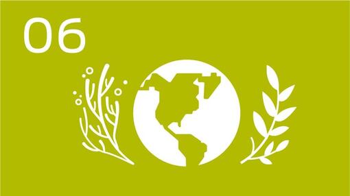 Infografik Welt und Pflanzen