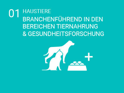 Infografik-Katze und Hund mit Schüssel