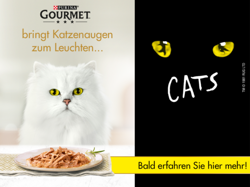 Vielen Dank für deine Teilnahme!