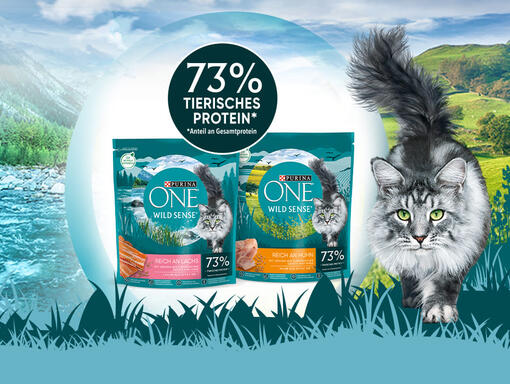 PURINA ONE WILD SENSE